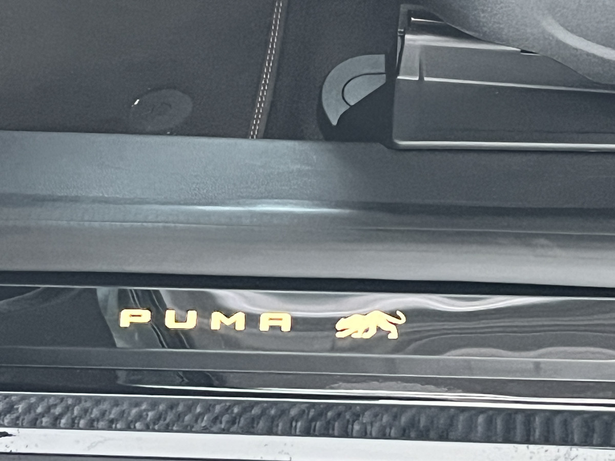 FORD PUMA ST 1,5 200 GOLD EDITION 176/999  PACK PERF GPS CAMERA  FEUX FULL LED HIFI B&O APPLE CAR PLAY PACK HIVER  PARK ASSIST KEYLESS ECHAPPEMENT A CLAPET ETAT NEUF